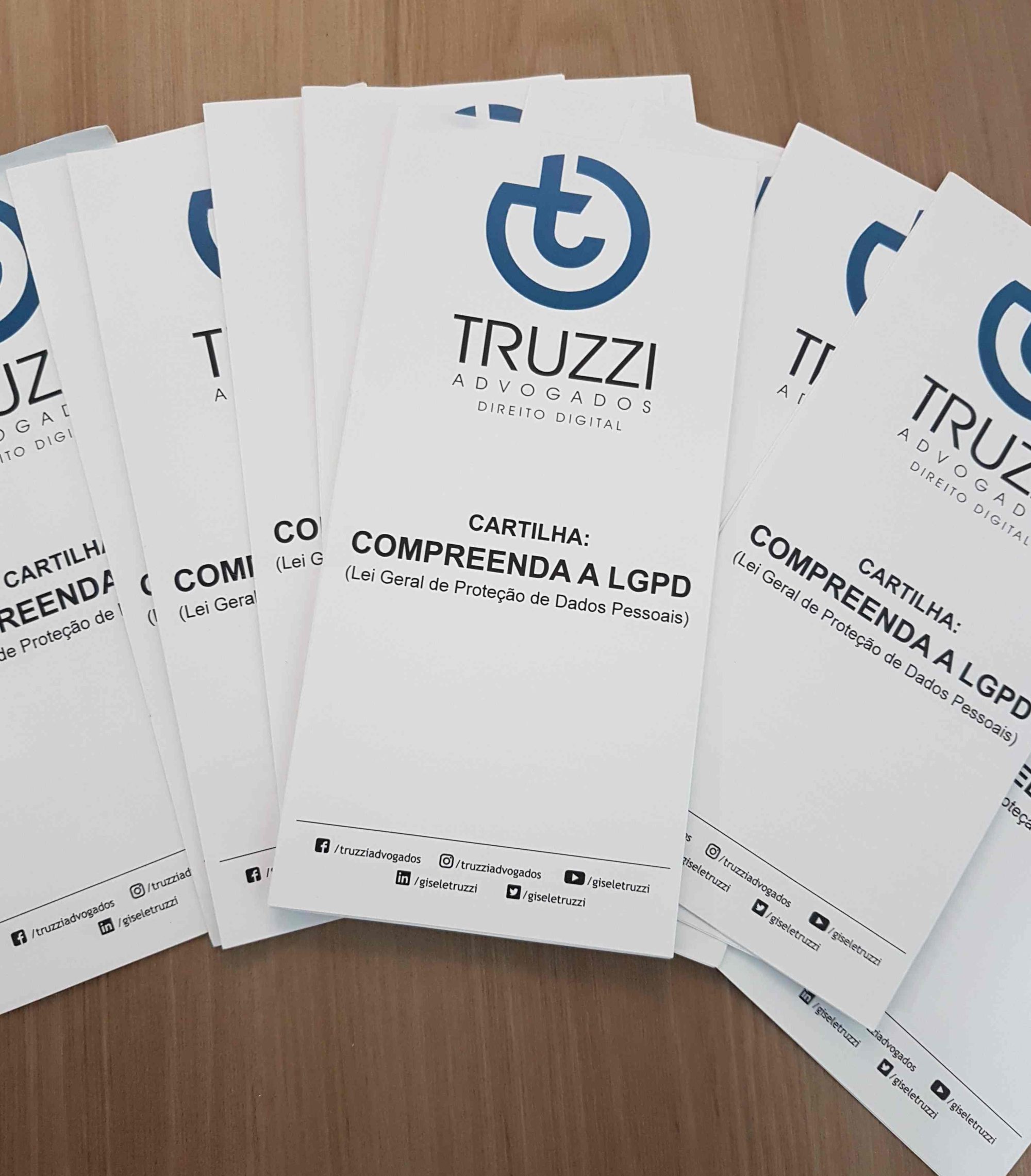 Foto da Cartilha de LGPD da Dra Gisele Truzzi.